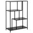 REGALELEMENT in 77,0/114,0/35,0 cm Schwarz - Schwarz, Trend, Holzwerkstoff/Metall (77,0/114,0/35,0cm) - Carryhome REGALELEMENT in 77,0/114,0/35,0 cm Schwarz - Schwarz, Trend, Holzwerkstoff/Metall (77,0/114,0/35,0cm) - Carryhome