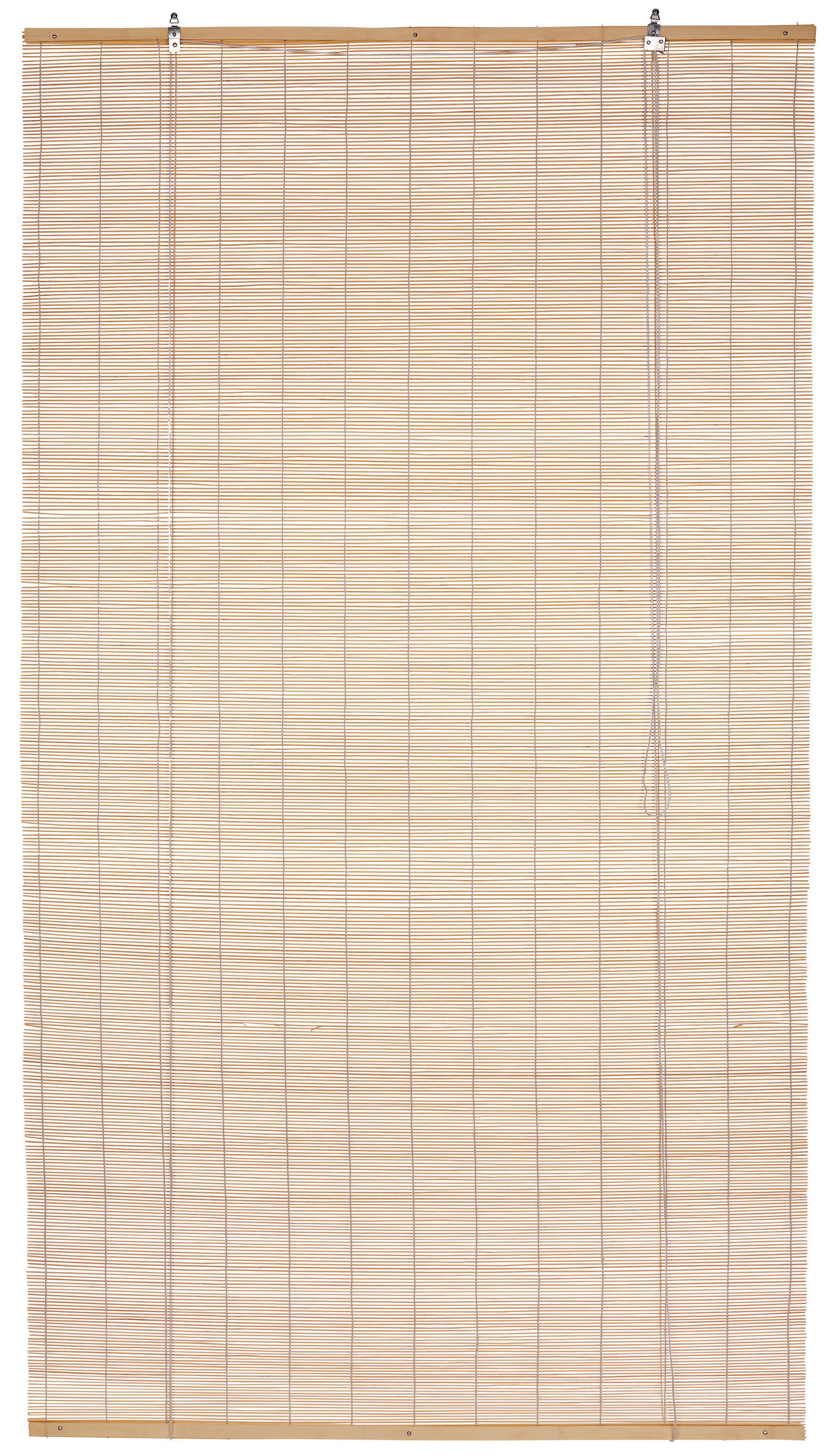 Raffrollo Willi Transparent Bambus 60x180 Cm