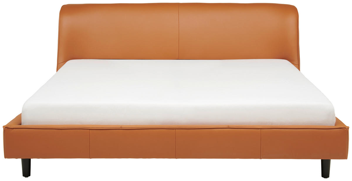 TAPECIRANI KREVET   180/200 cm   smeđa  - crna/smeđa, Moderno, koža/drvo (180/200cm) - Livetastic