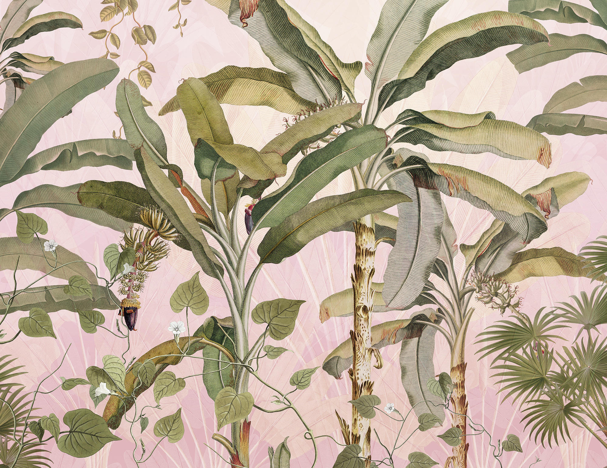 Komar Vliestapete 350x270 cm