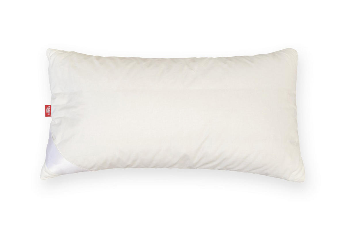 KOPFKISSEN 65/100 cm  - Champagner, Basics, Textil (65/100cm) - Sleeptex