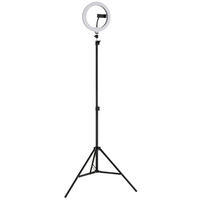 LED-GOLVLAMPA Delgado 63/210 cm    - opal/svart, Basics, metall/plast (63/210cm)