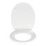 WC-SITZ Weiß - Weiß, Basics, Kunststoff (38/5,5/46cm) WC-SITZ Weiß - Weiß, Basics, Kunststoff (38/5,5/46cm)