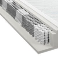 TASCHENFEDERKERNMATRATZE 80/200 cm Höhe ca. 23 cm 7 -Zonen - Weiß, Basics, Textil (80/200cm) - Sleeptex