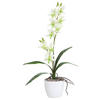 KUNSTPFLANZE Orchidee 60 cm  - Weiß/Hellgrün, Design, Keramik/Kunststoff (60cm) - P & B