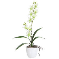KUNSTPFLANZE Orchidee 60 cm  - Weiß/Hellgrün, Design, Keramik/Kunststoff (60cm) - P & B