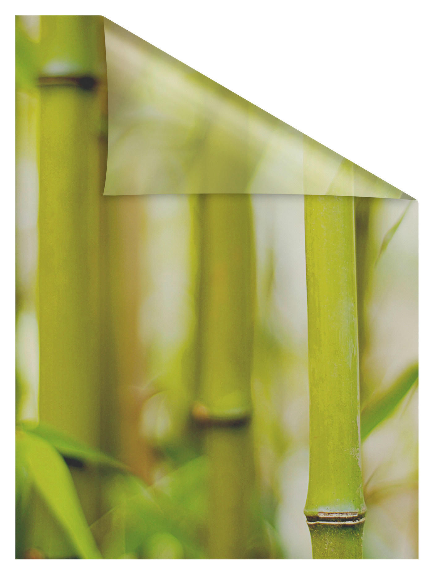 Thumbnail - LICHTBLICK Fensterfolie Bambus Floral Bambus grün B/L: ca. 100x100 cm