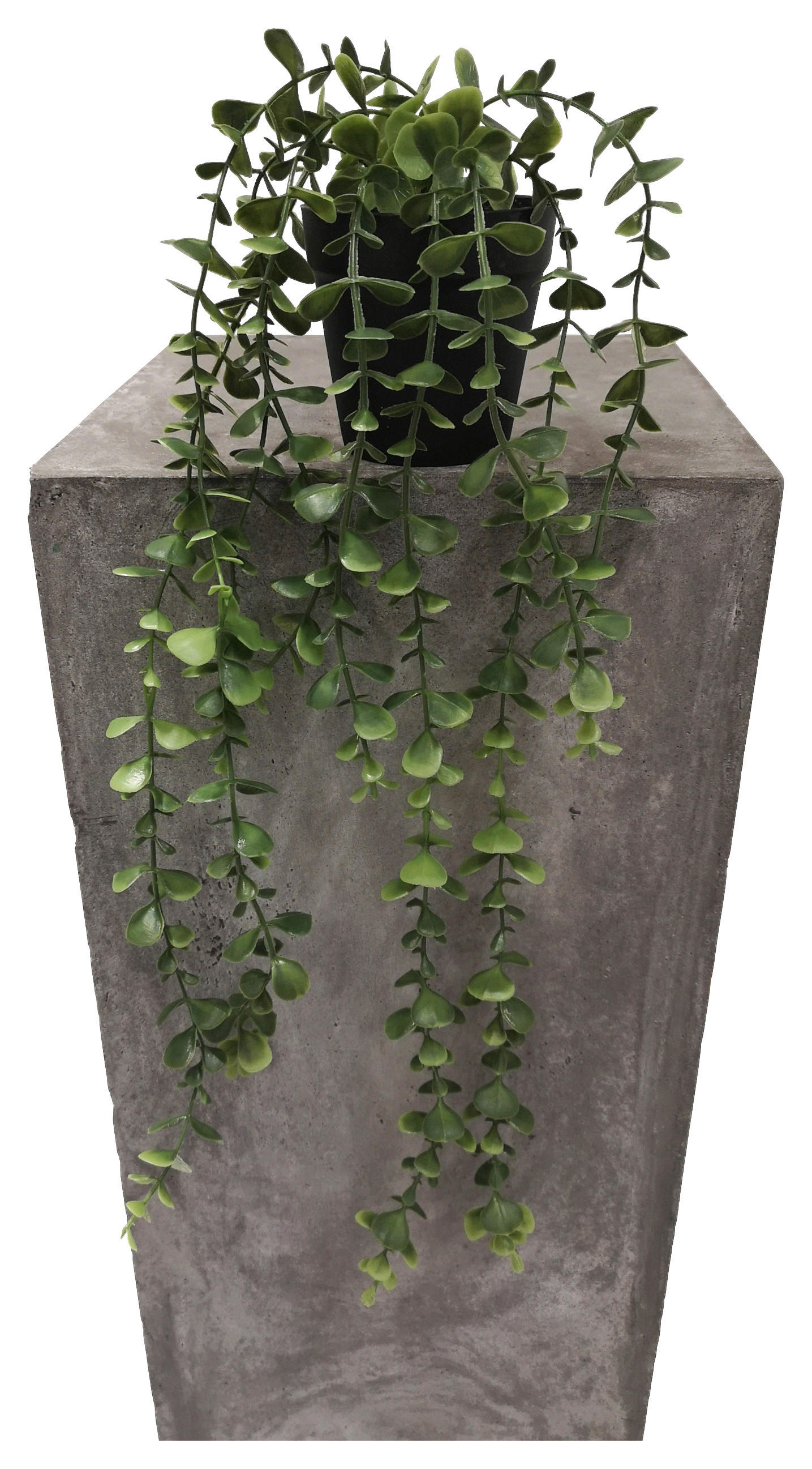 Thumbnail - Kunstpflanze grün Kunststoff B/H/L: ca. 10x10x50 cm