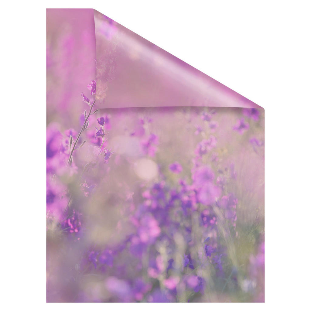 Thumbnail - LICHTBLICK Fensterfolie Blumenwiese Blumen Blumenwiese violett B/L: ca. 100x100 cm