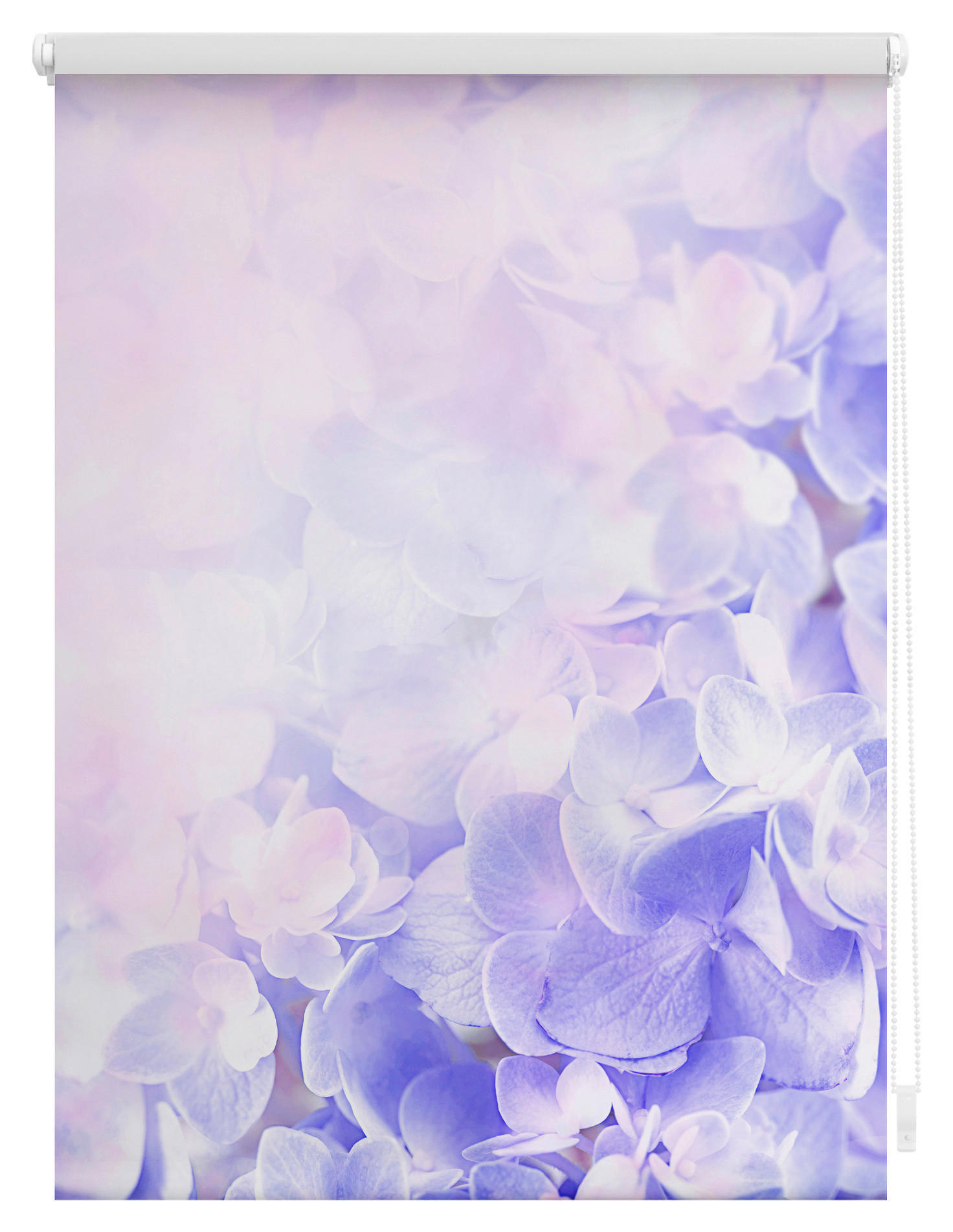 Thumbnail - LICHTBLICK Rollo Hortensie lila B/L: ca. 70x150 cm