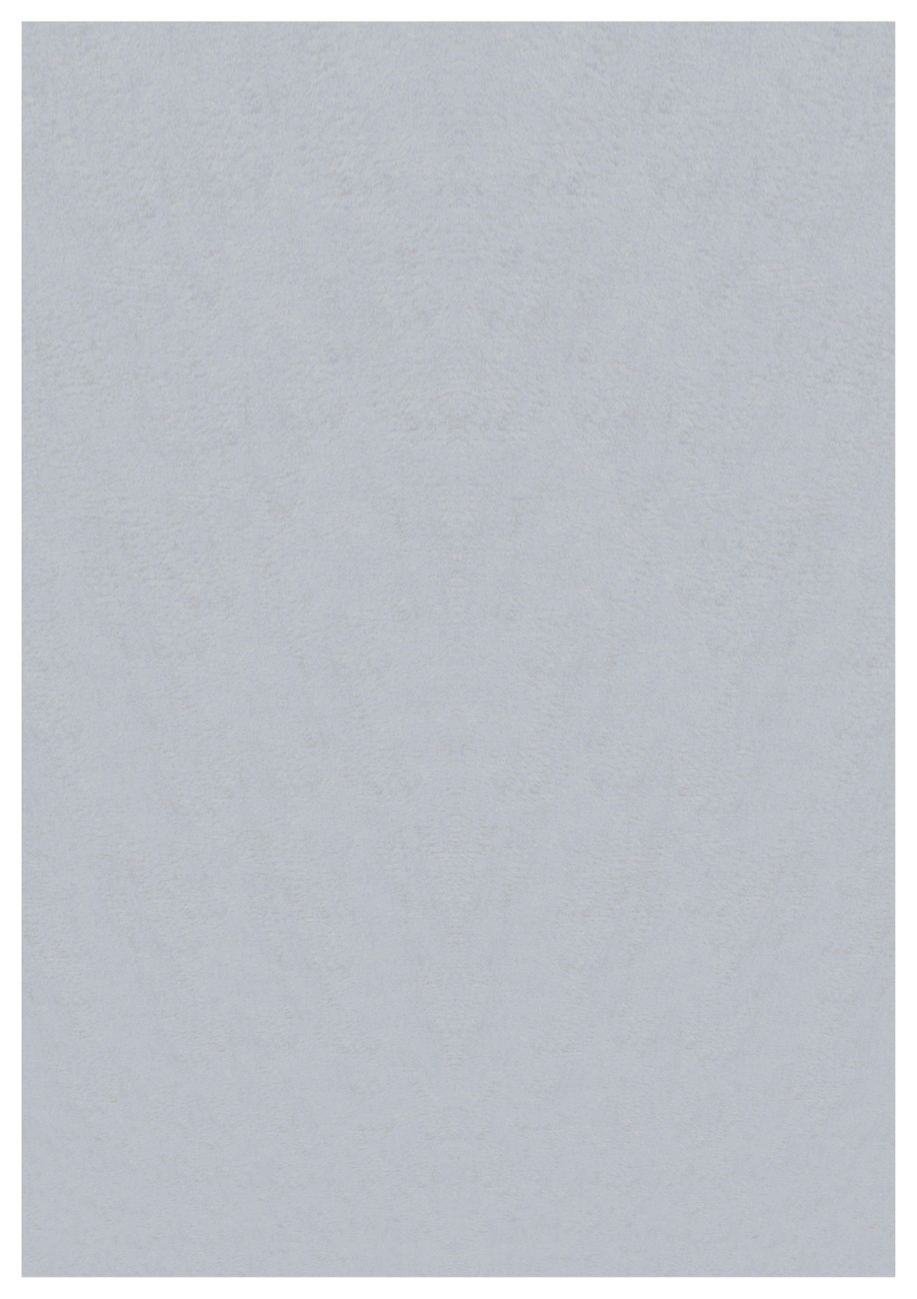 Ayyildiz Teppich SKY silber B/L: ca. 60x110 cm