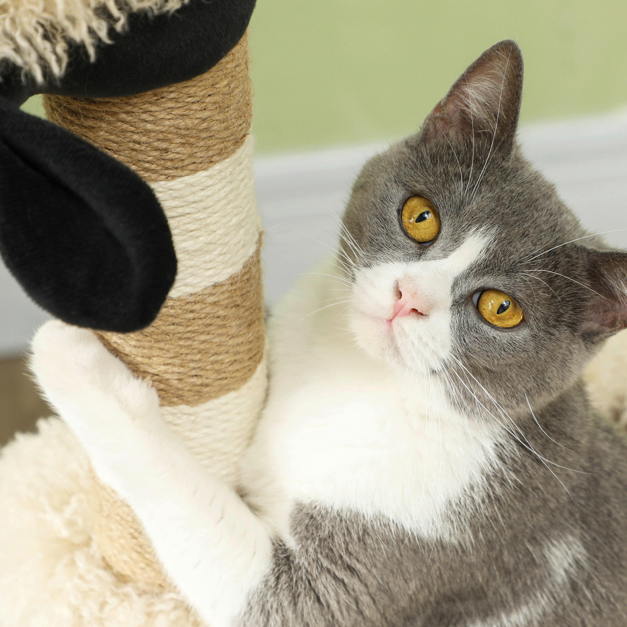 Thumbnail - PawHut Kratzbaum braun Polyester B/H/L: ca. 34x98x48 cm