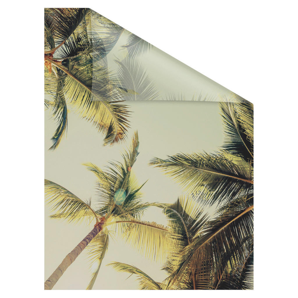 Thumbnail - LICHTBLICK Fensterfolie Palmen_und_Sonne Palmen Palmen_und_Sonne grün B/L: ca. 50x50 cm