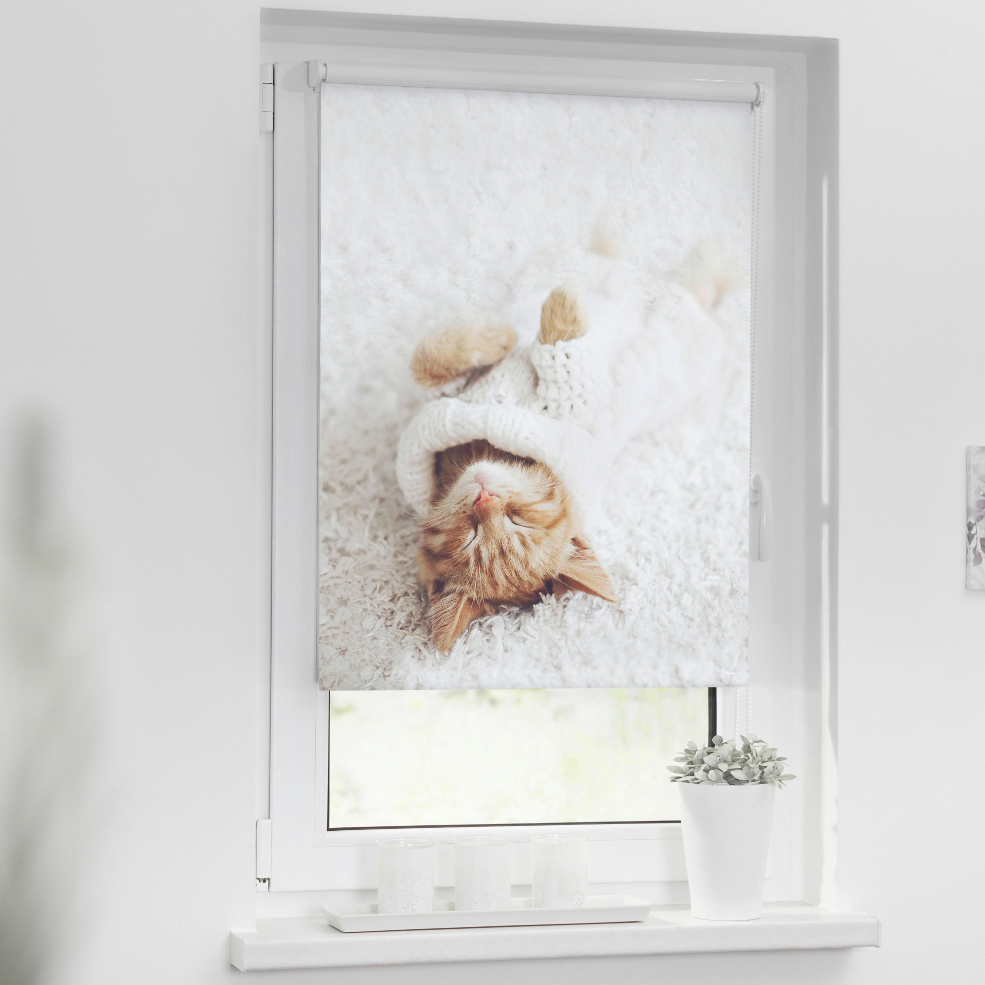 LICHTBLICK Verdunkelungsrollo Sleepy Cat