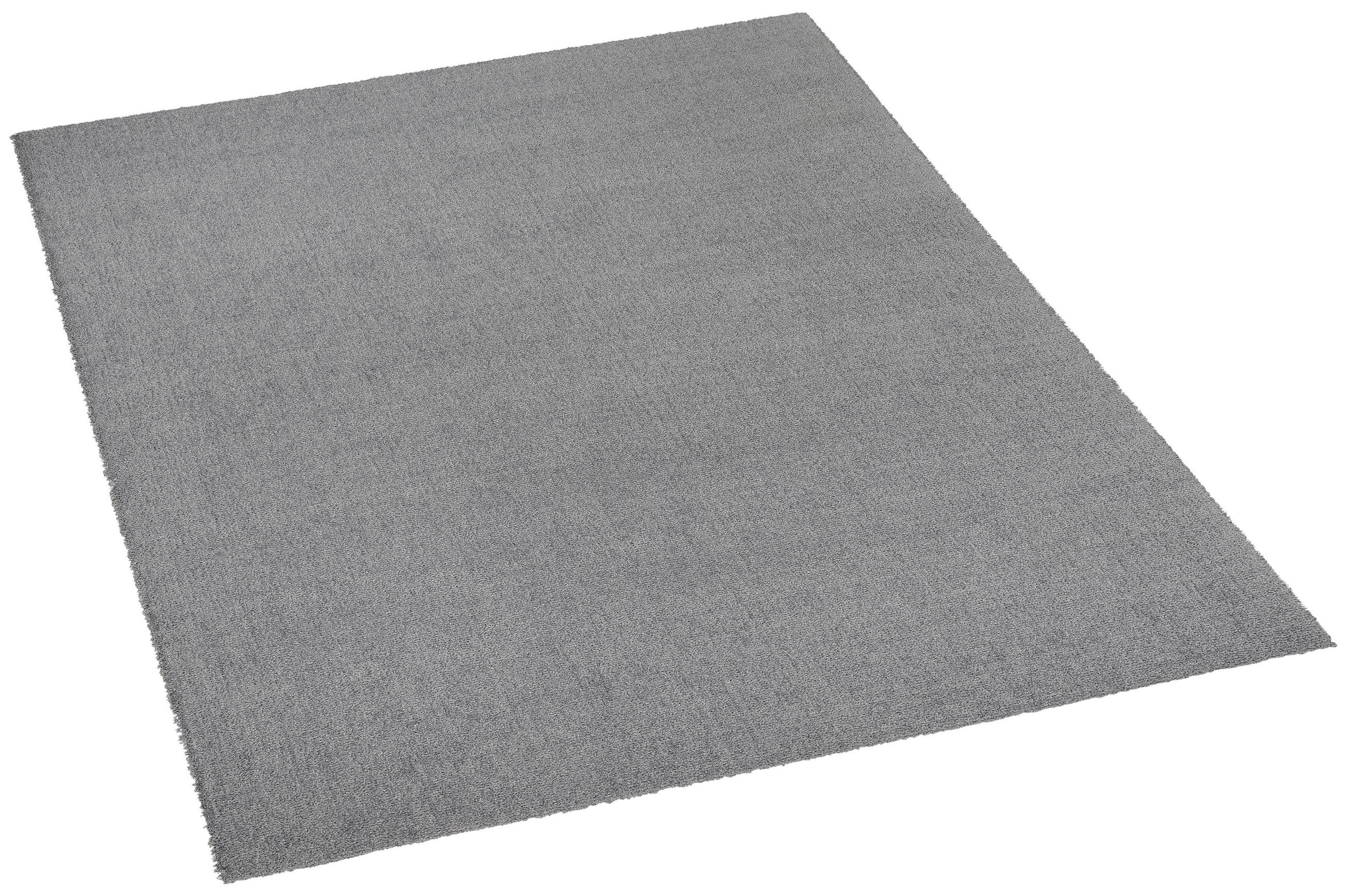 Webteppich Modena grau B/L: ca. 160x230 cm