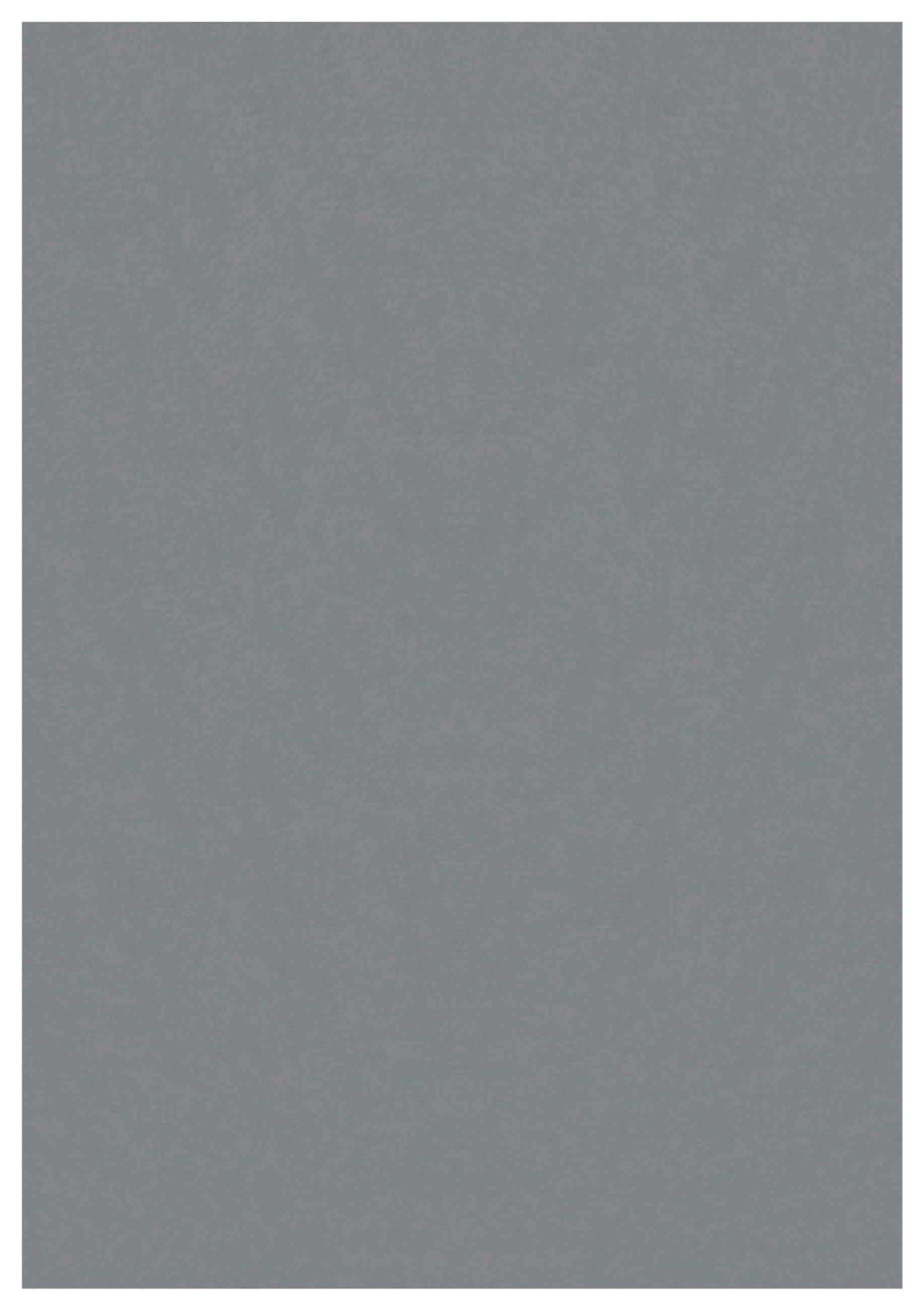 Ayyildiz Teppich SKY grau B/L: ca. 240x340 cm