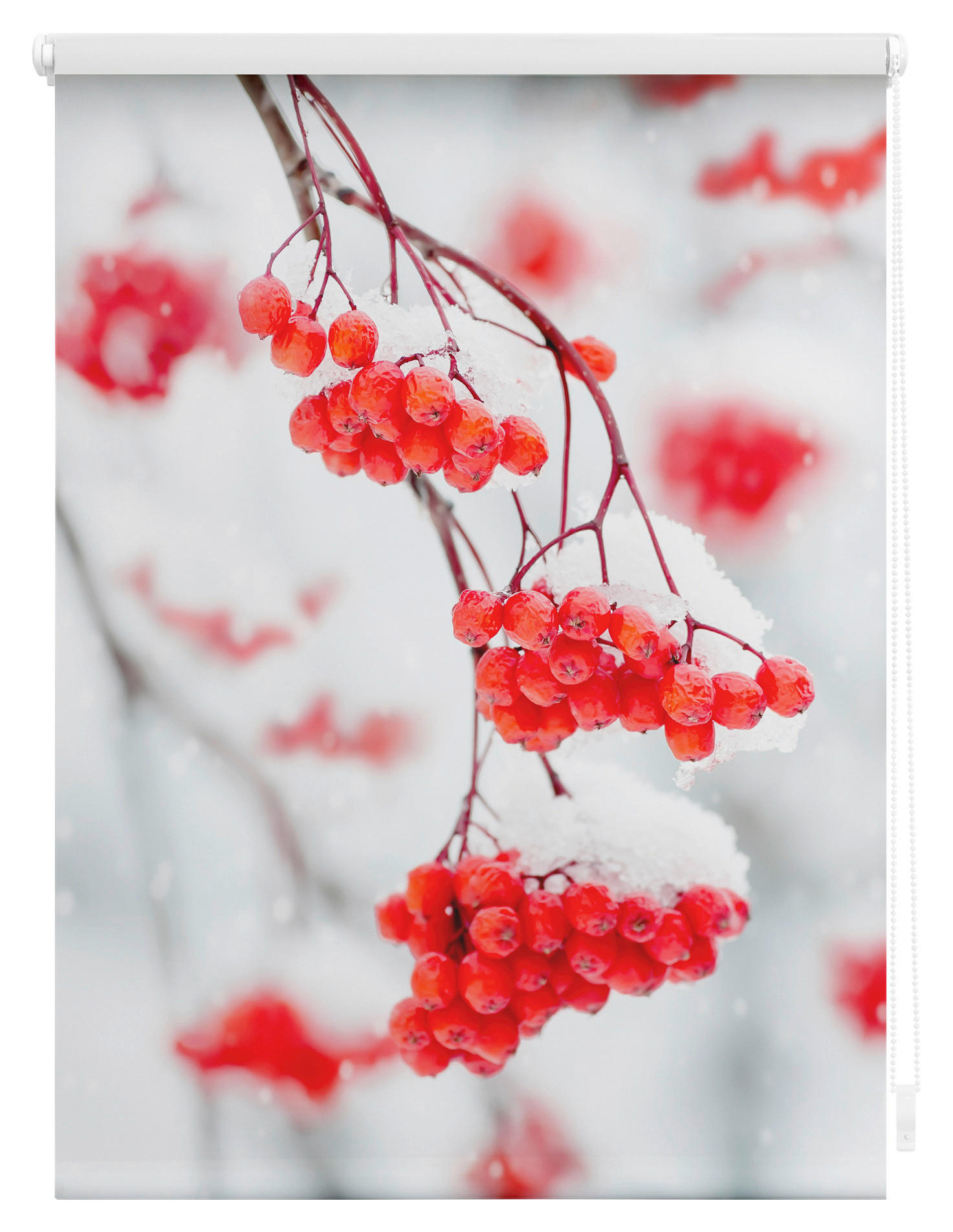 Thumbnail - LICHTBLICK Rollo Vogelbeeren rot B/L: ca. 45x150 cm
