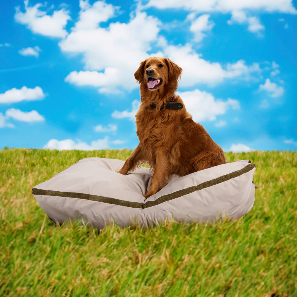 Thumbnail - Haustierbett beige Polyester B/H/L: ca. 120x20x80 cm