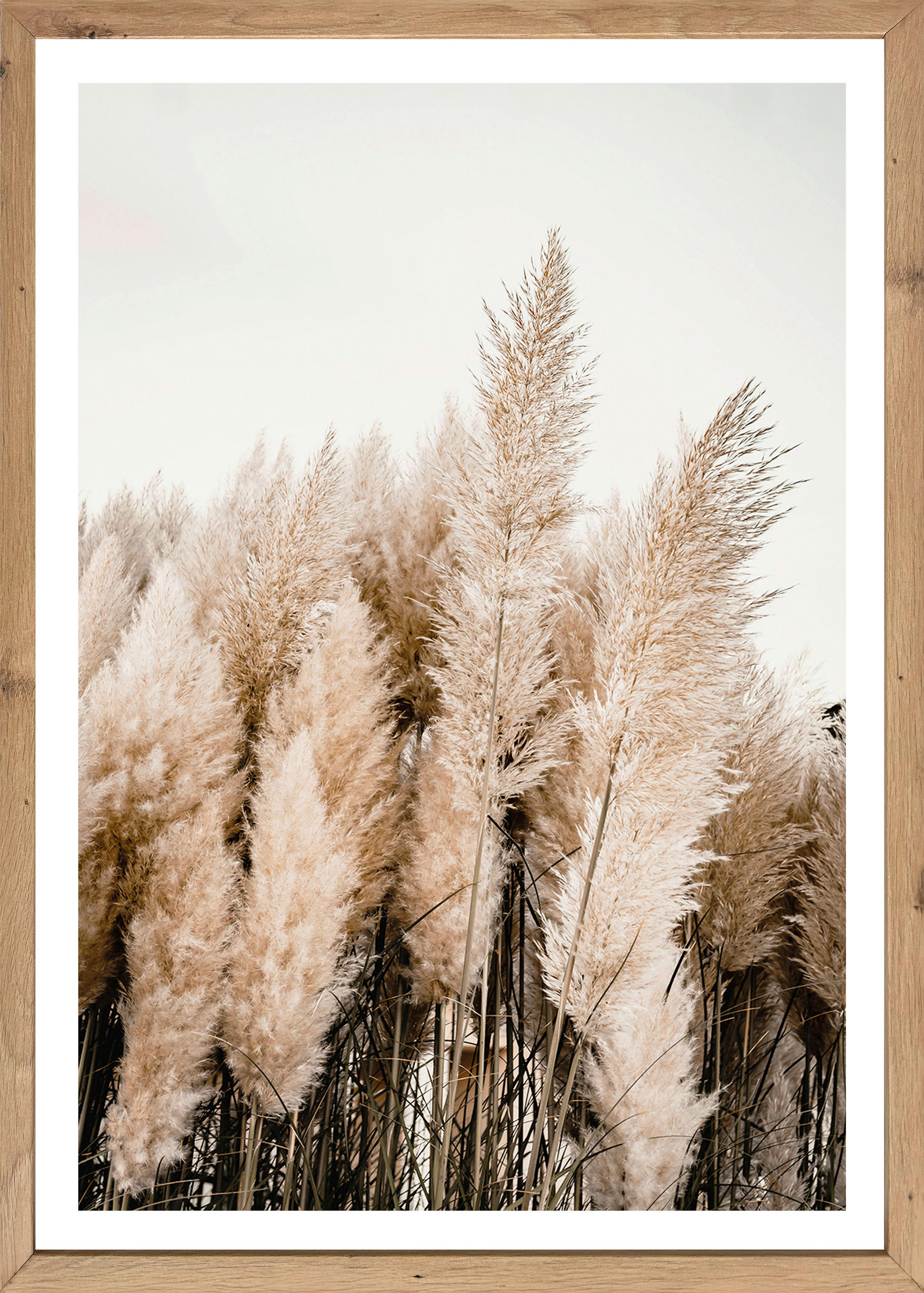 Gerahmtes Bild Natur B/H: ca. 70x50 cm