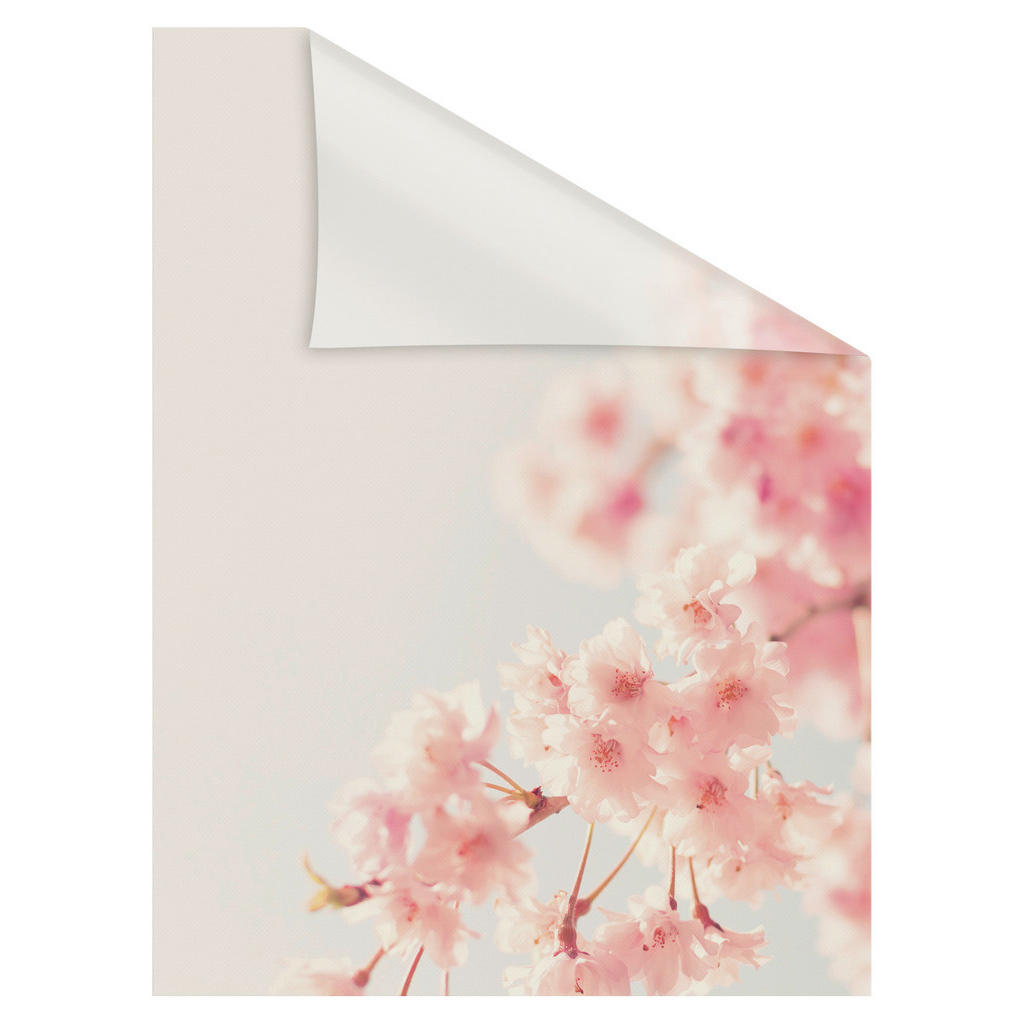 Thumbnail - LICHTBLICK Fensterfolie Kirschbaum Kirschblüte Kirschbaum orange B/L: ca. 100x130 cm