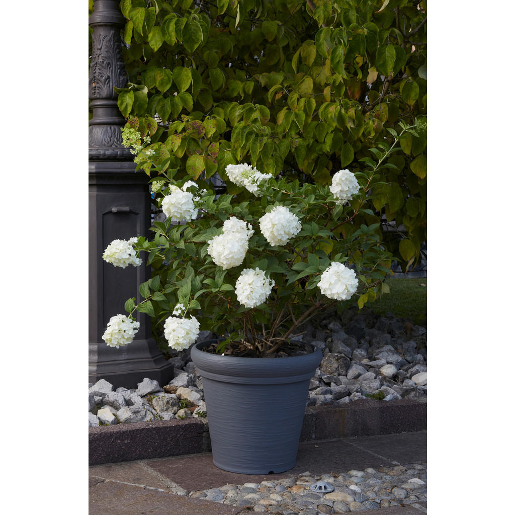 Thumbnail - ProGarden Pflanztopf grau Kunststoff H/D: ca. 35x38 cm