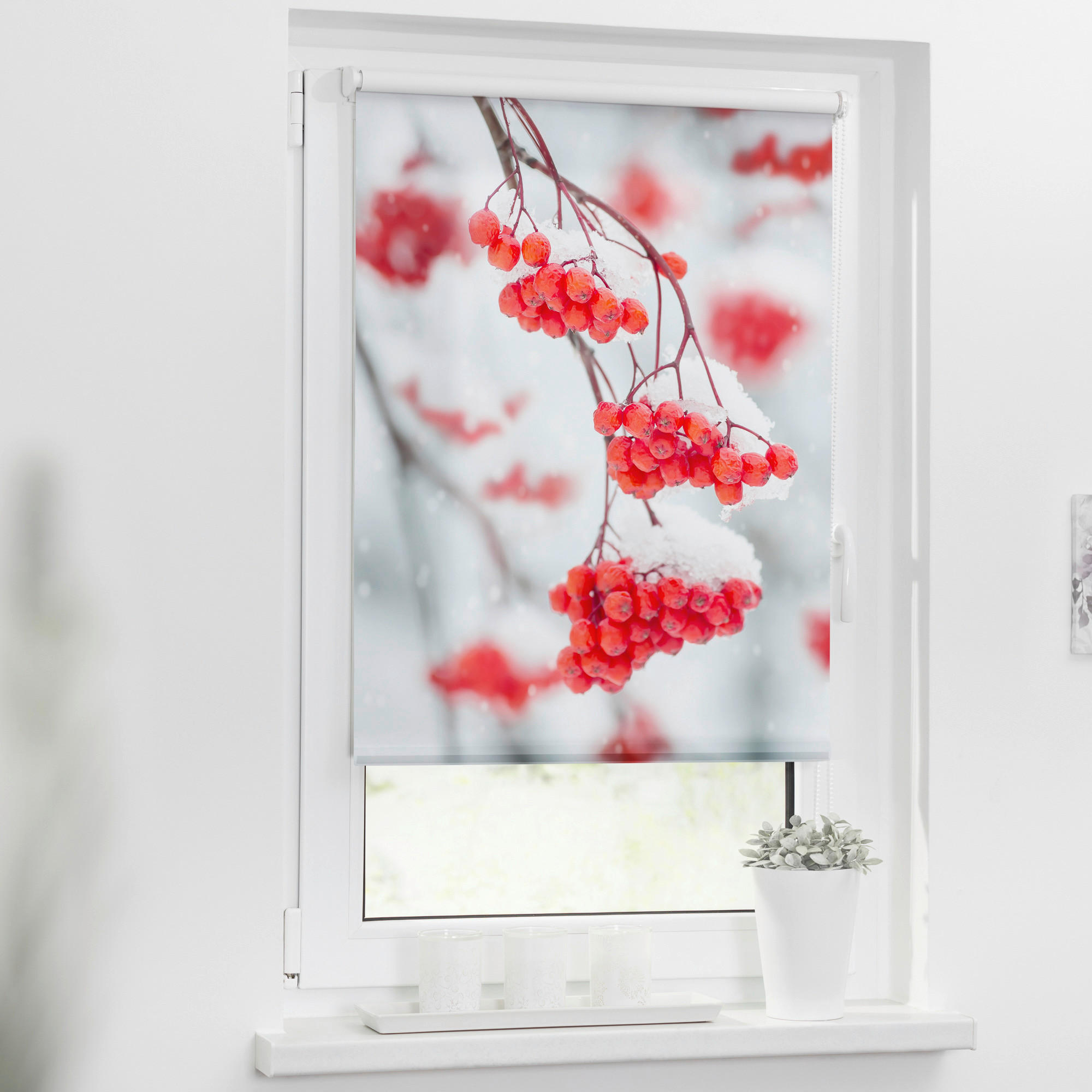 LICHTBLICK Verdunkelungsrollo Vogelbeeren rot B/L: ca. 80x150 cm