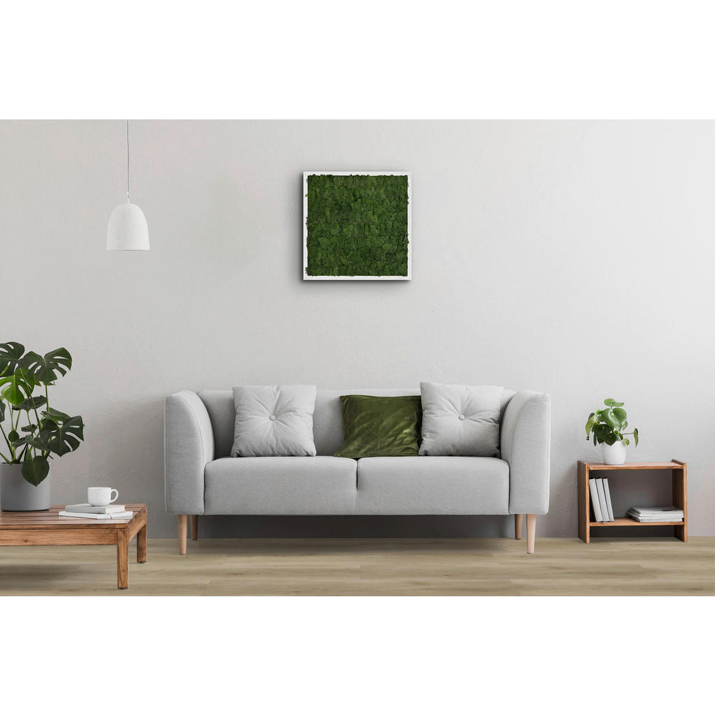 Thumbnail - Click-Vinylboden Buchrasen ca. 2,782 m² im Paket B/L: ca. 22,8x122 cm pro Paket