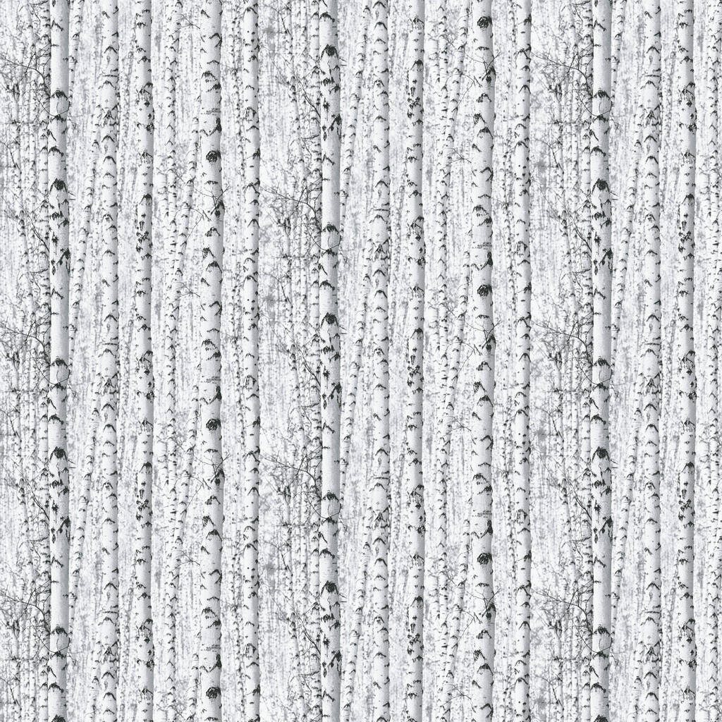 Thumbnail - Papiertapete Birkenwald weiß schwarz B/L: ca. 53x1005 cm