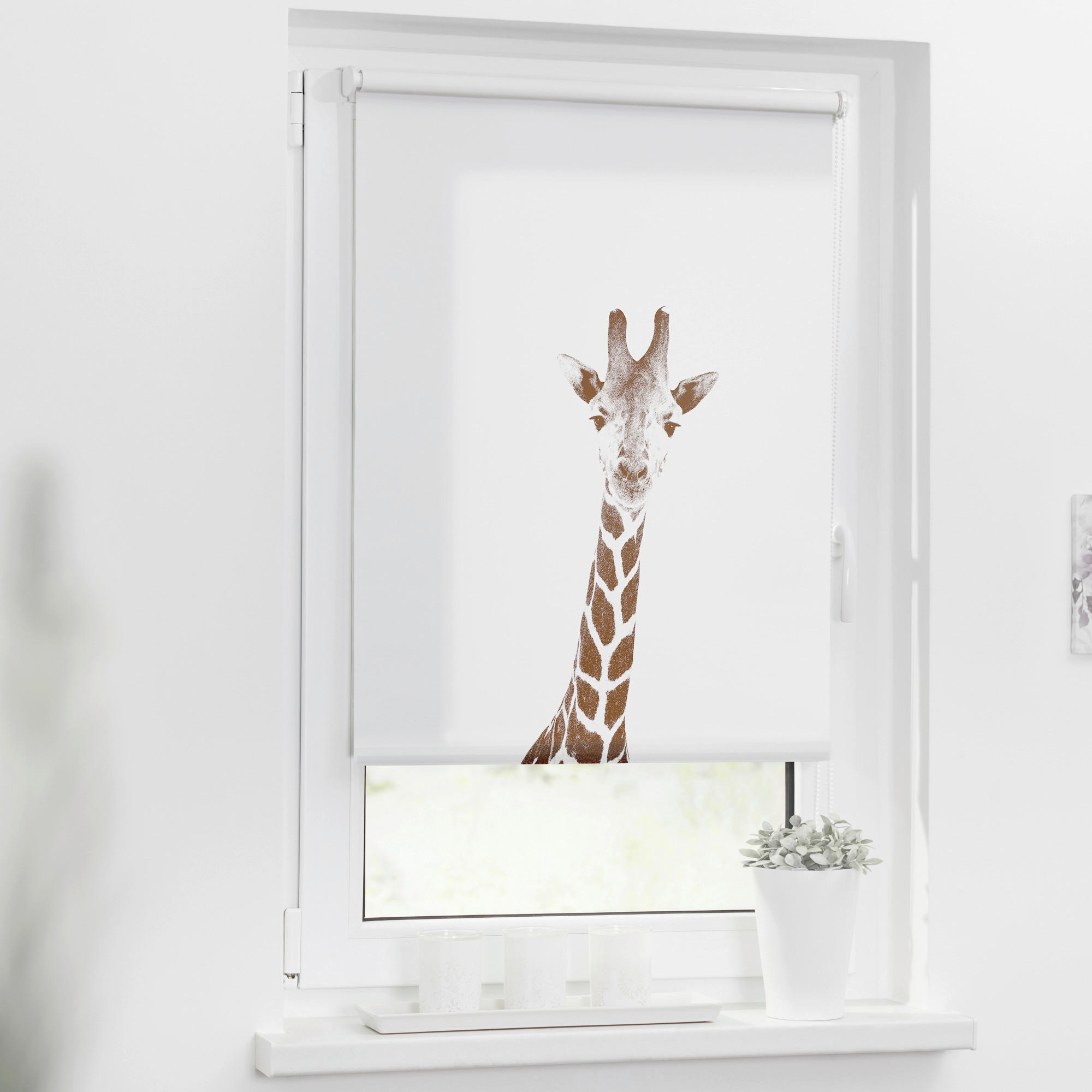 LICHTBLICK Rollo Giraffe braun B/L: ca. 80x150 cm