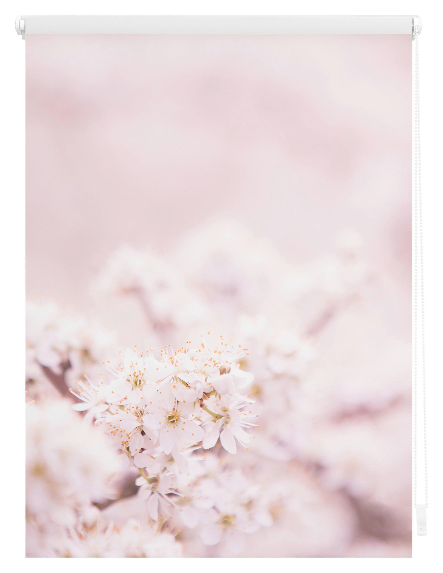 Thumbnail - LICHTBLICK Verdunkelungsrollo Kirschblüten rosé B/L: ca. 45x150 cm