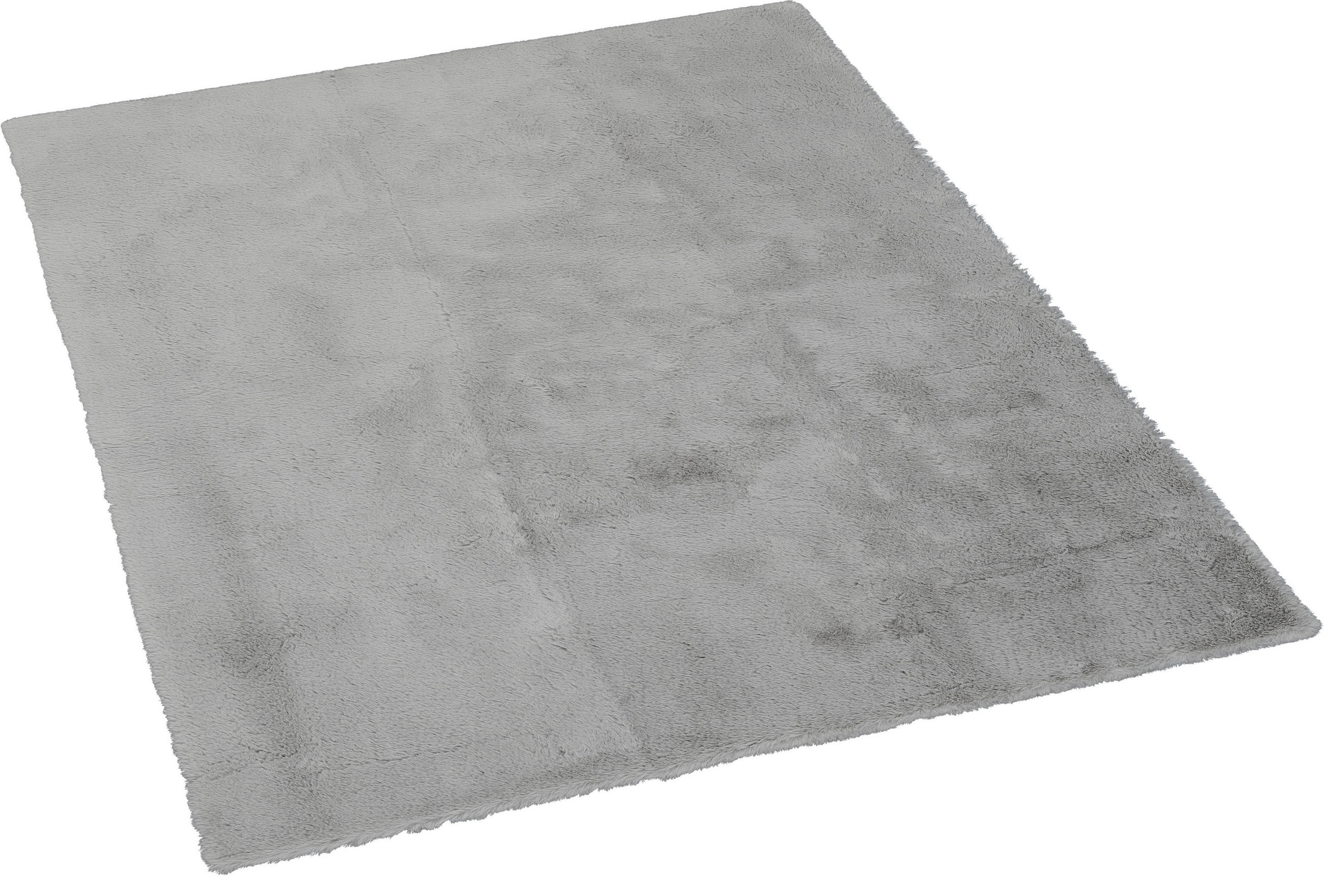 Teppich Buggy silber B/L: ca. 80x140 cm
