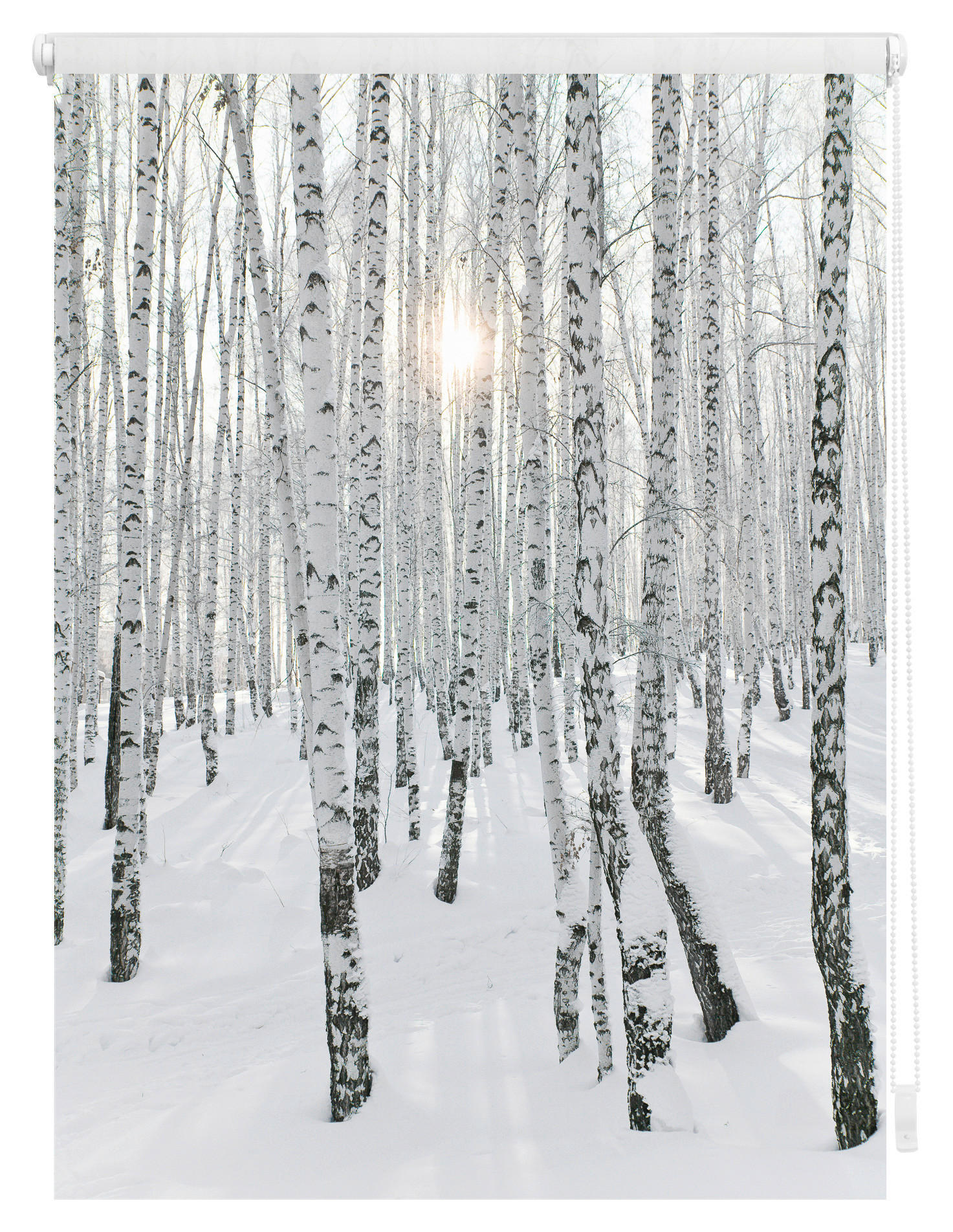 Thumbnail - LICHTBLICK Rollo Birkenwald weiß B/L: ca. 60x150 cm