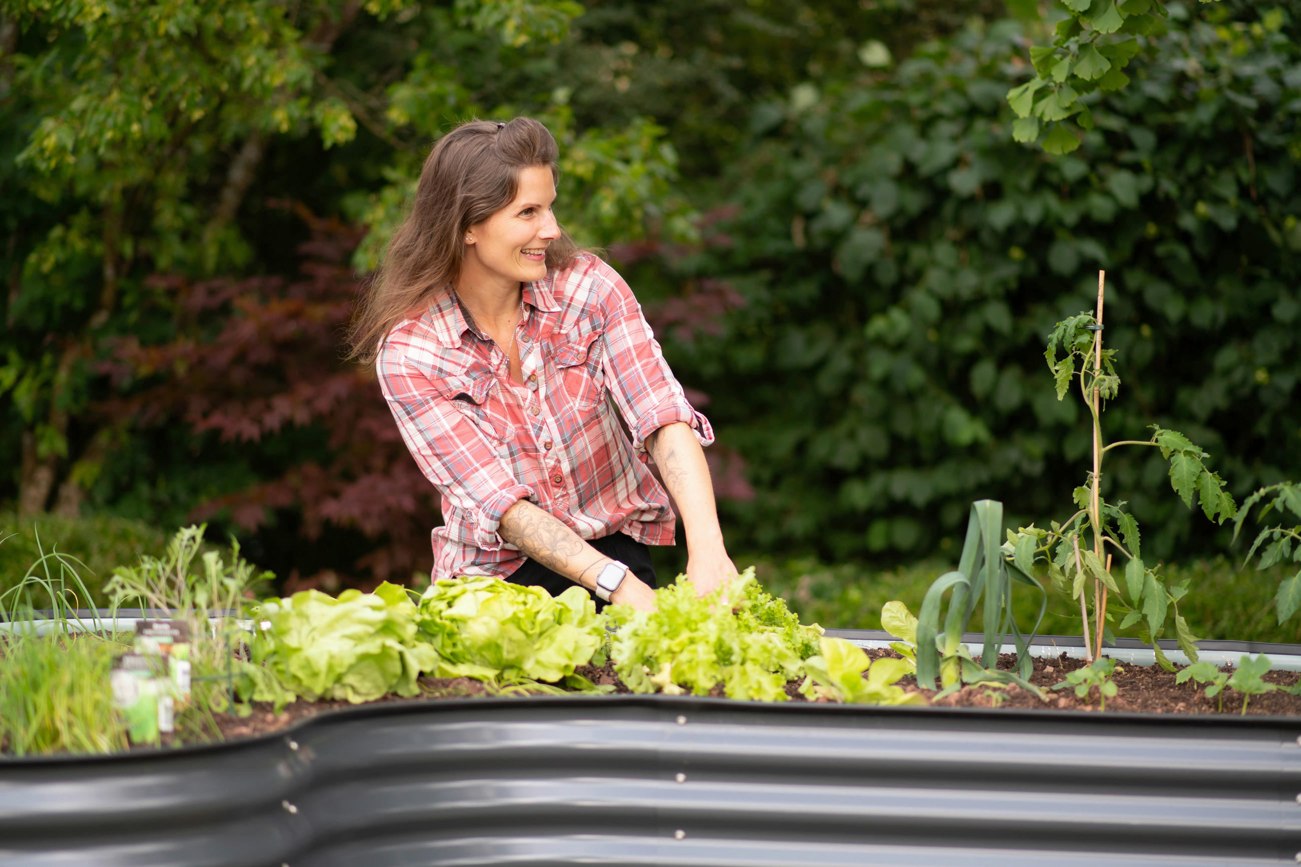 Thumbnail - Westmann Hochbeet Grow Faster anthrazit Stahl B/H/L: ca. 160x82x240 cm