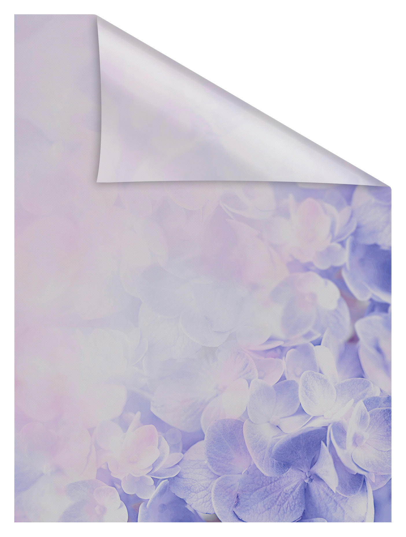 Thumbnail - LICHTBLICK Fensterfolie Hortensie Blüten Hortensie pastell lila B/L: ca. 50x50 cm